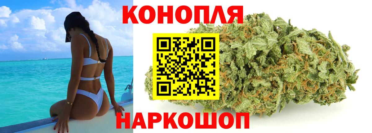Марихуана планчик  Каннабис VHQ  Орёл  Каннабис THC 21%  Вход с VPN  Бошки марихуана Bruce Banner 